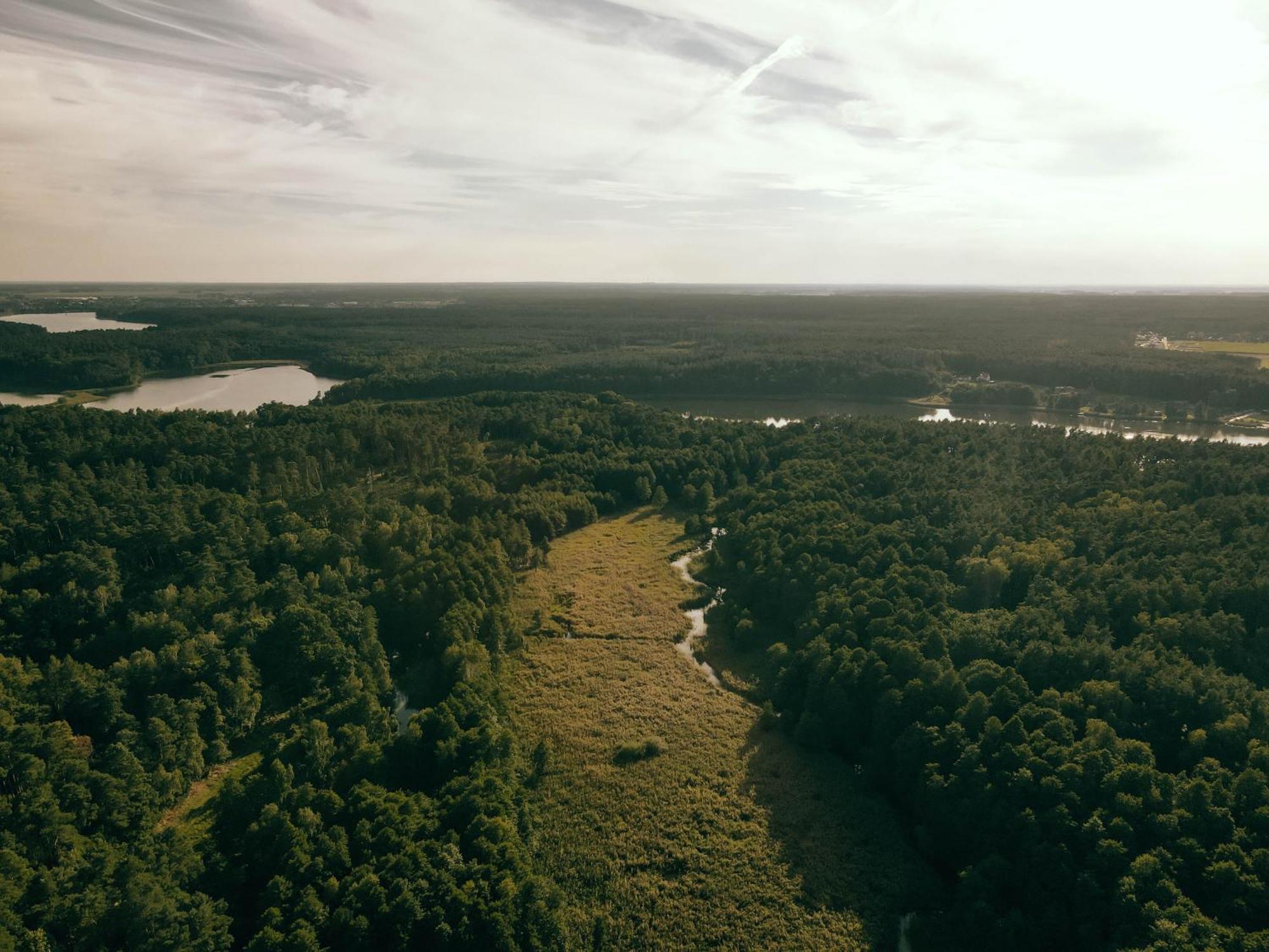 Bed and Breakfast Mieta Вонґровєц Екстер'єр фото